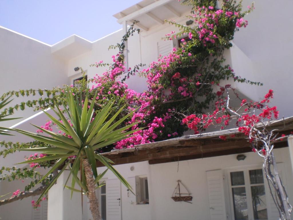 Paros Rita Studios Piso Livadi Eksteriør billede