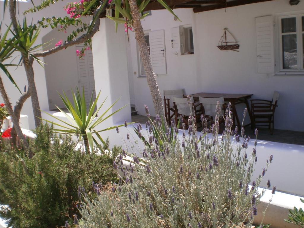 Paros Rita Studios Piso Livadi Eksteriør billede